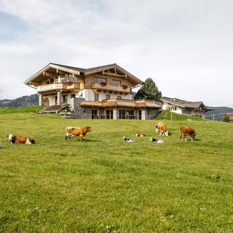 Chalet Winterbauer - Chalet - 5
