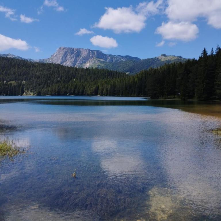 Apartment Petra - One-Bedroom Apartment - 80