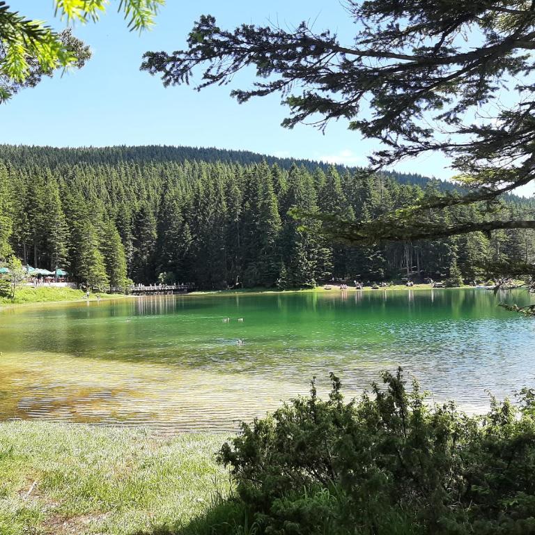 Apartment Petra - One-Bedroom Apartment - 90