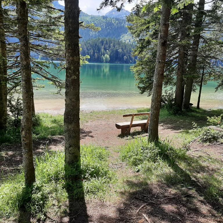 Apartment Petra - One-Bedroom Apartment - 96