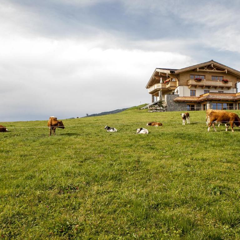 Chalet Winterbauer - Chalet - 67