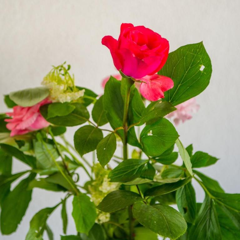 City Delight Apartment - One-Bedroom Apartment - 37