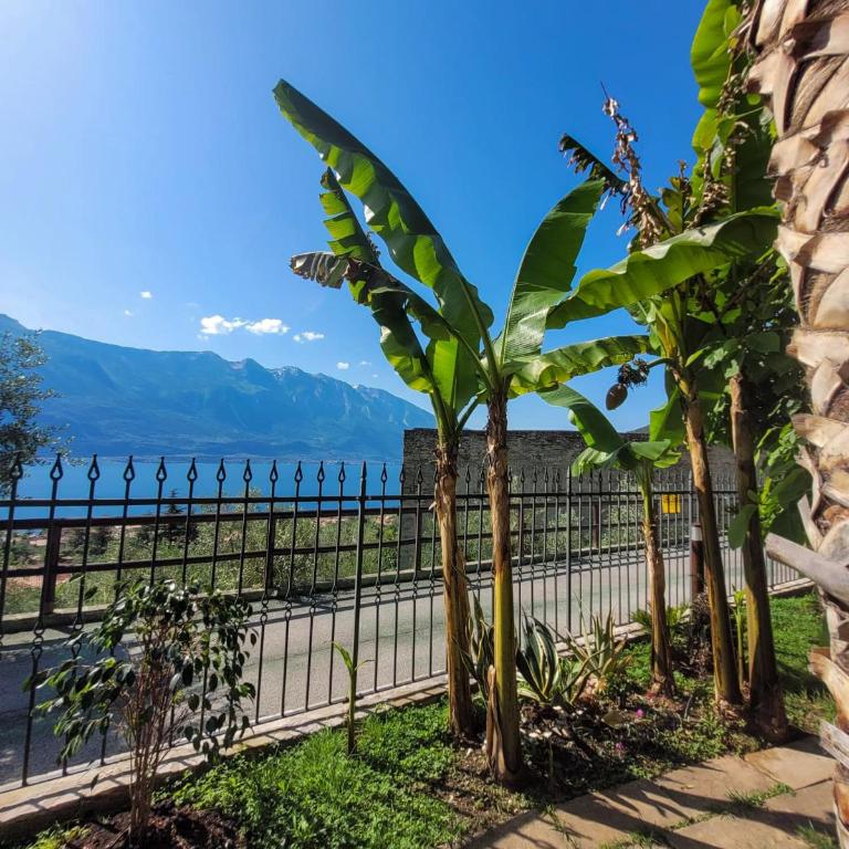 Villa Fior di Loto - Villa con 2 Camere da Letto - 14