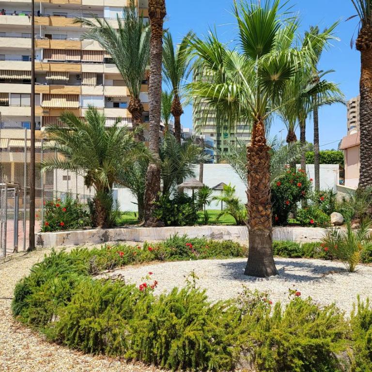 Vaiana - Apartamento de 1 dormitorio - 23