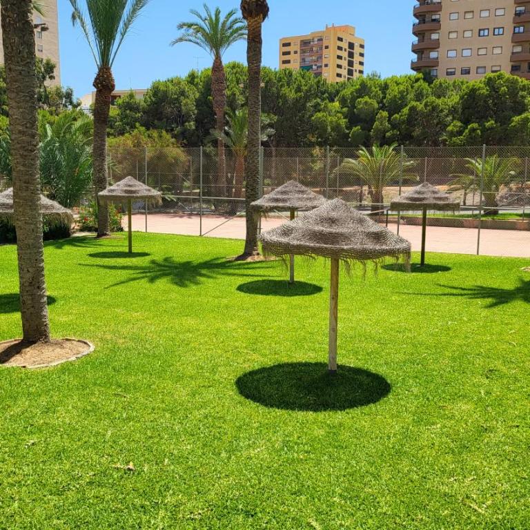 Vaiana - Apartamento de 1 dormitorio - 22