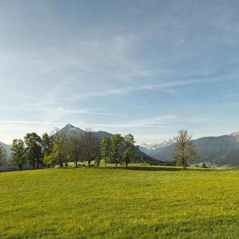 Chalet Winterbauer - Chalet - 95