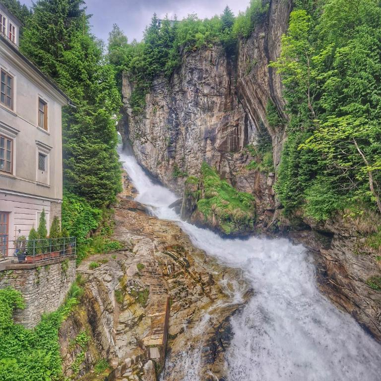 Stubnerblick - Apartamento de 1 dormitorio - 7