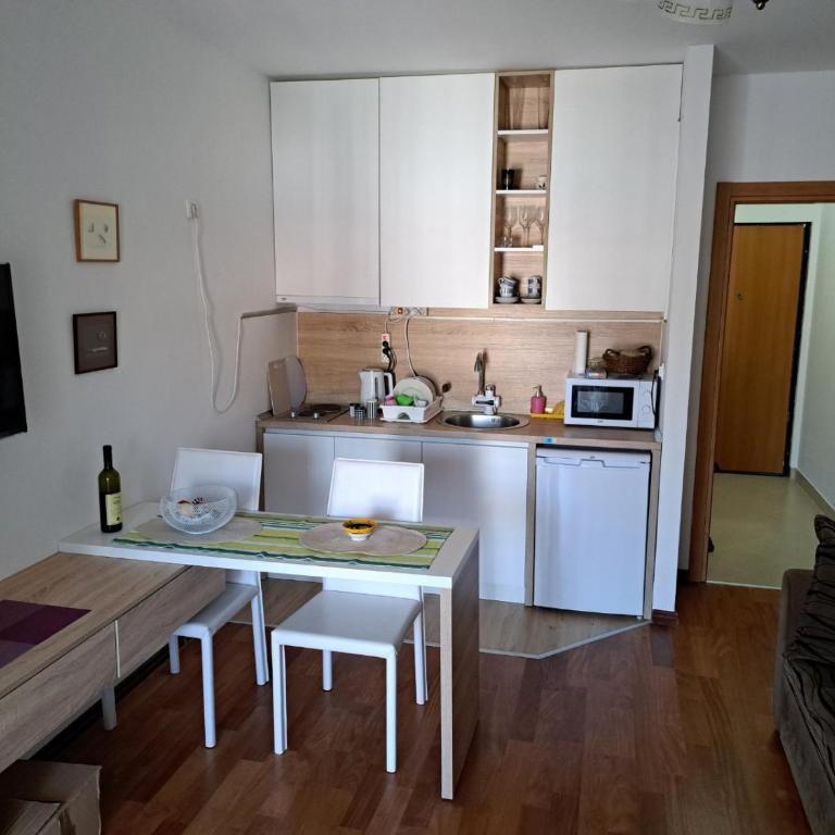 Petrovac Studio Apartment Ana - One-Bedroom Apartment - 4