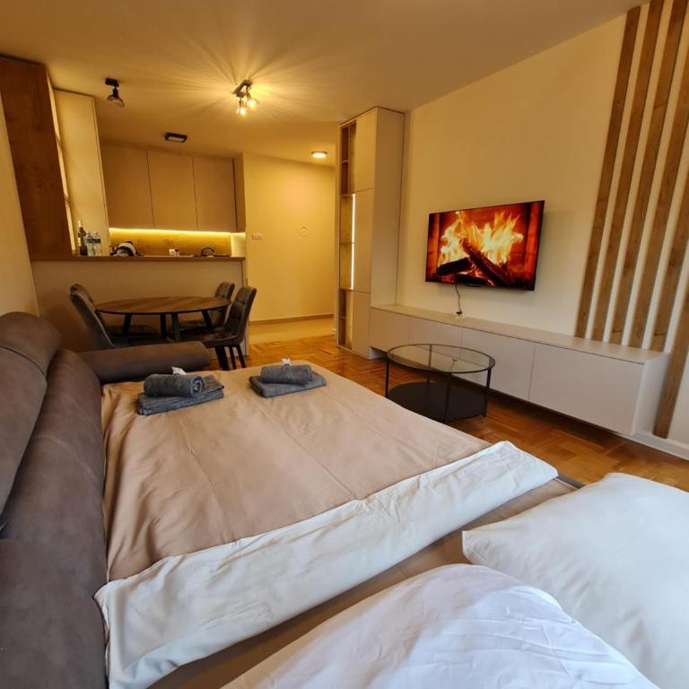 AGERA Apartments - Apartman sa 1 Spavaćom Sobom - 9