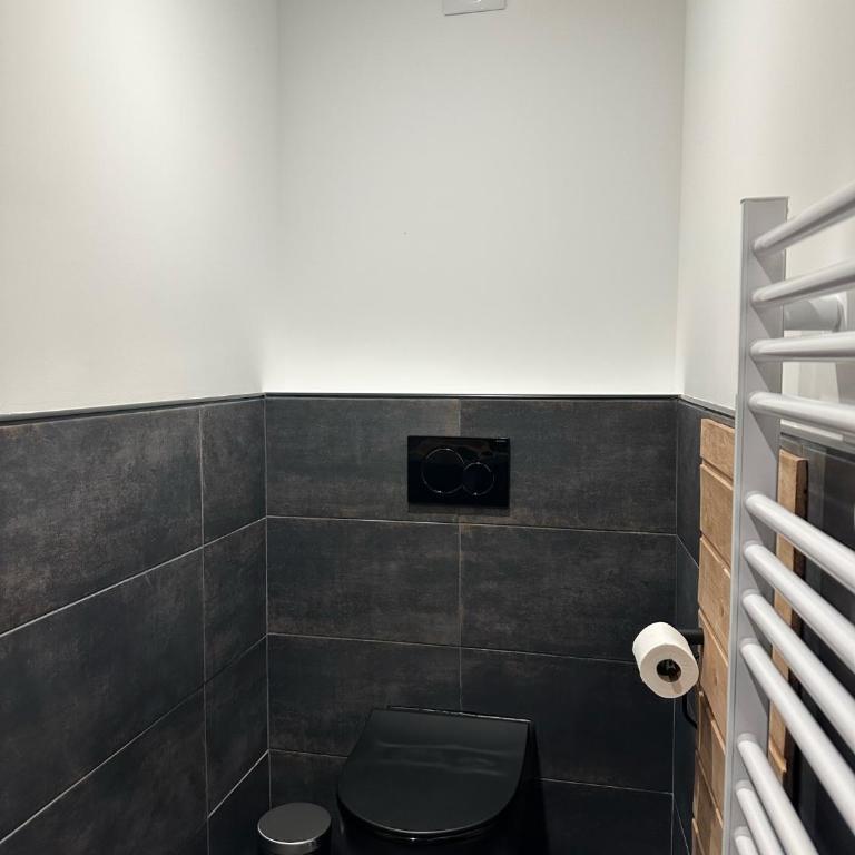 Studio RDC La Tour - Appartement 1 Chambre - 4