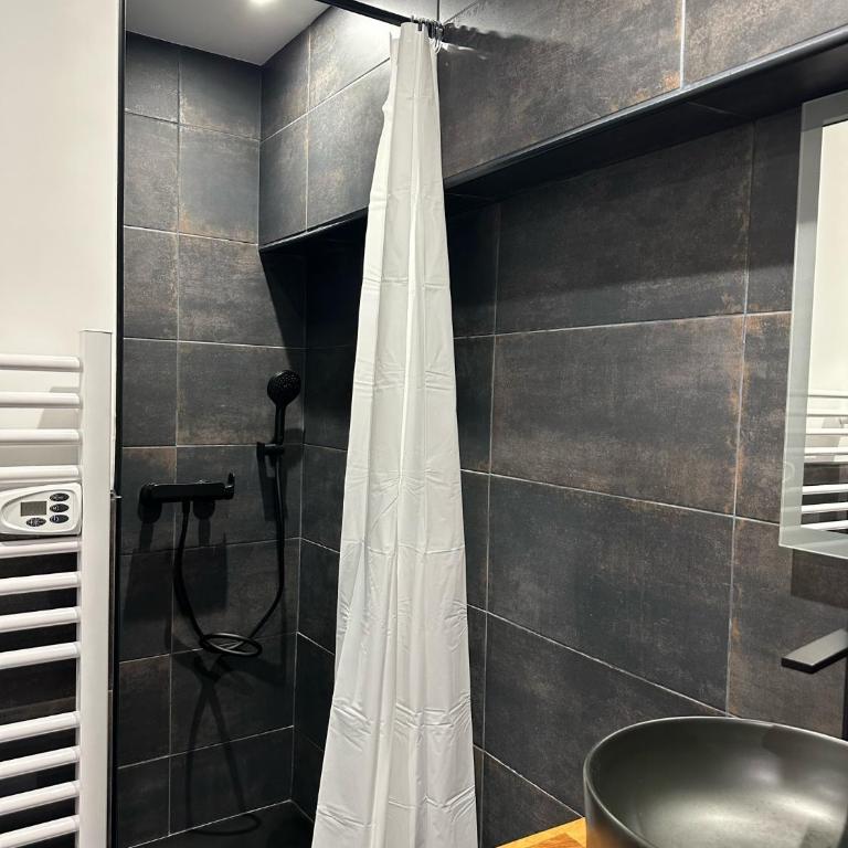 Studio RDC La Tour - Appartement 1 Chambre - 8