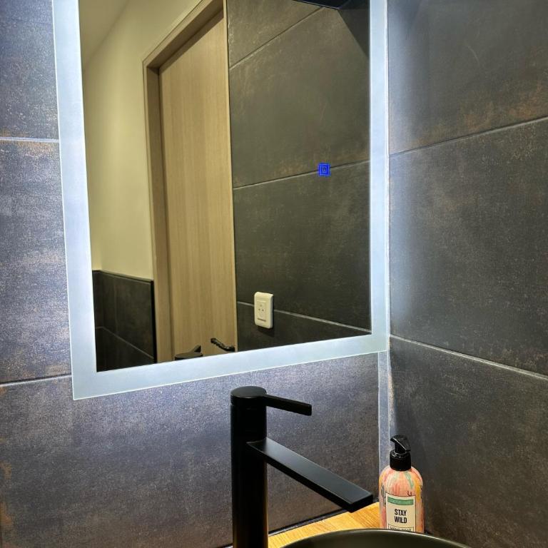 Studio RDC La Tour - Appartement 1 Chambre - 9