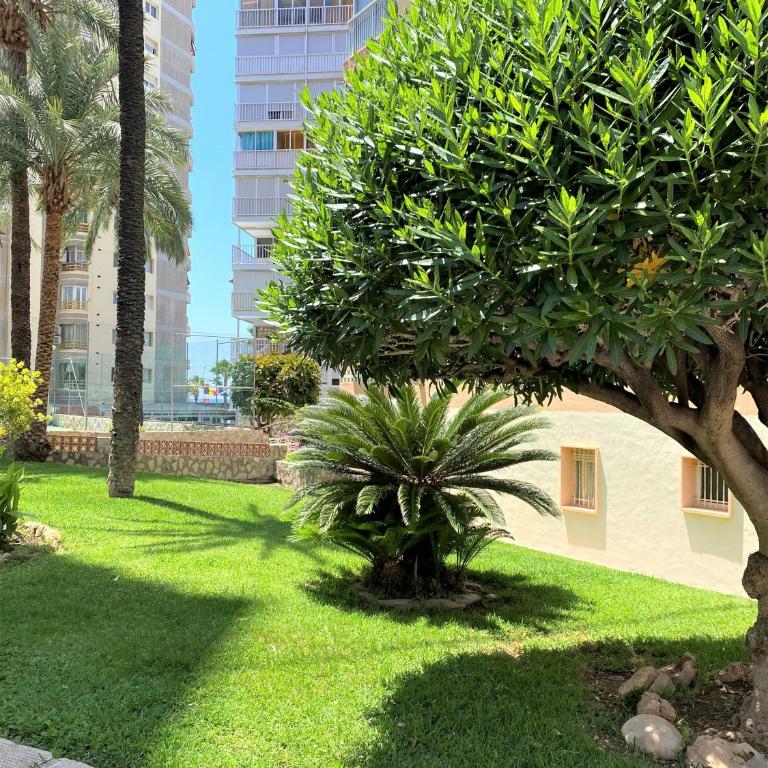 Carabelas T2-5 - Apartamento de 1 dormitorio - 34