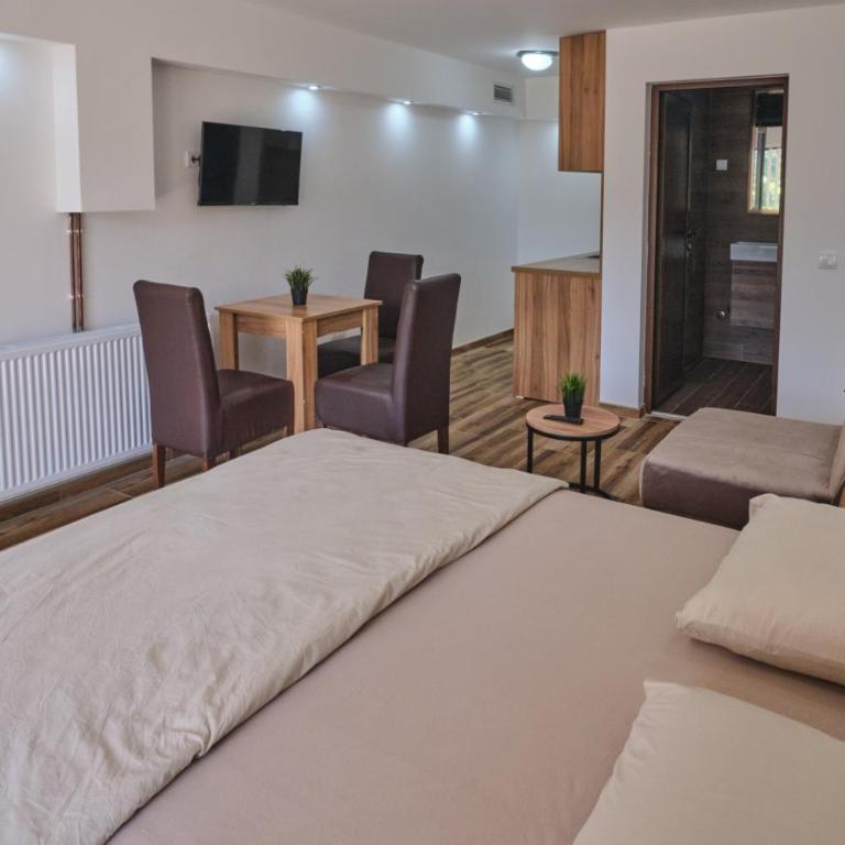 Apartmani Tvins - Studio sa Pogledom na Planinu - 9
