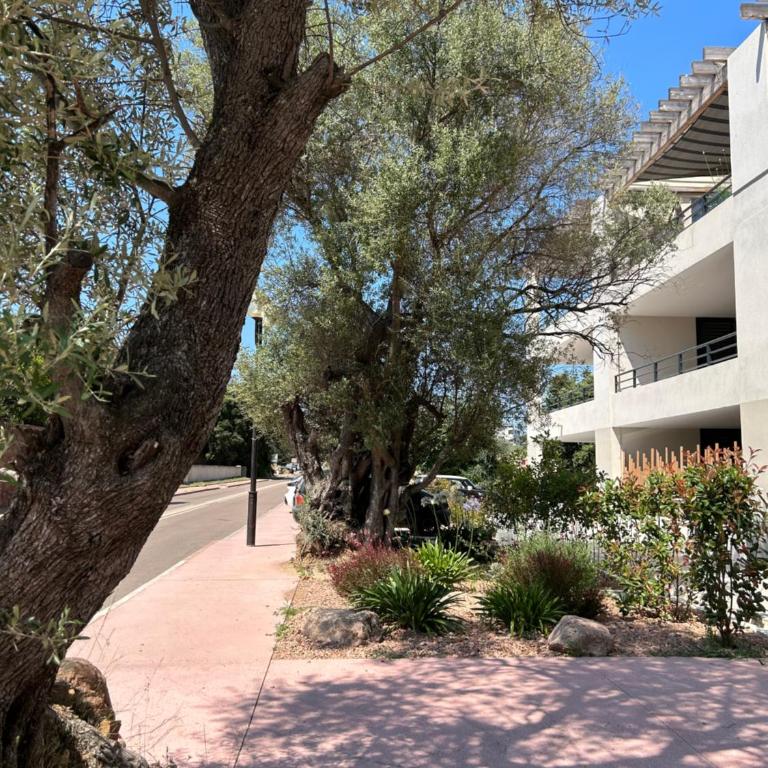 Sognu di Serena - Superbe appartement avec parking gratuit sur place - Apartment mit Terrasse - 31
