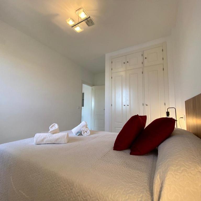 Apartamento Manzanilla Piscina Garaje - Apartamento de 1 dormitorio - 15