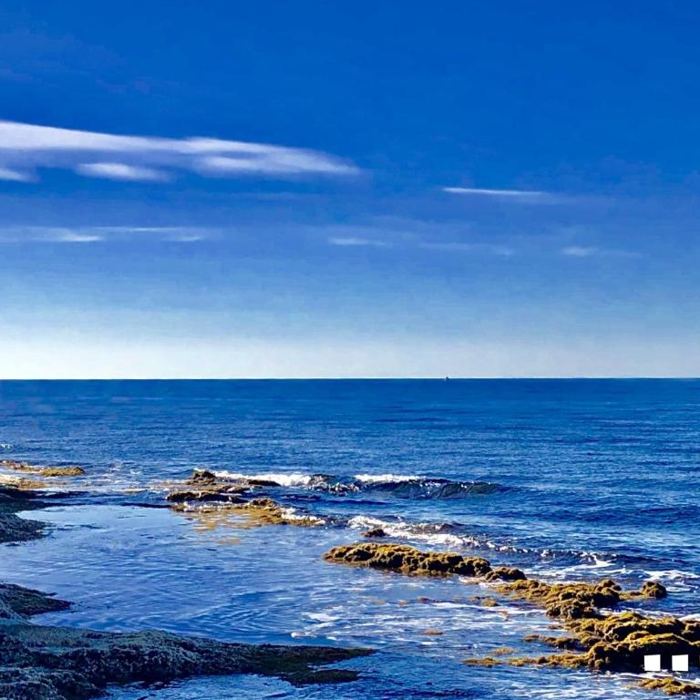 VH CostaBlanca - APARTAMENTO MARTA BEACH 4 - Apartamento de 2 dormitorios - 52