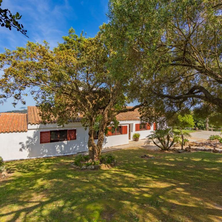 Livingtarifa - Casa Los Helechos - Villa con piscina privada - 4