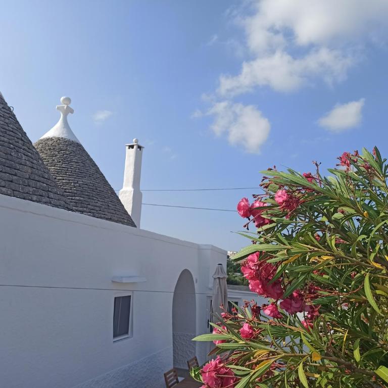 Trullo in piena valle d'itria del 1800 - Casa con 3 Camere da Letto - 12