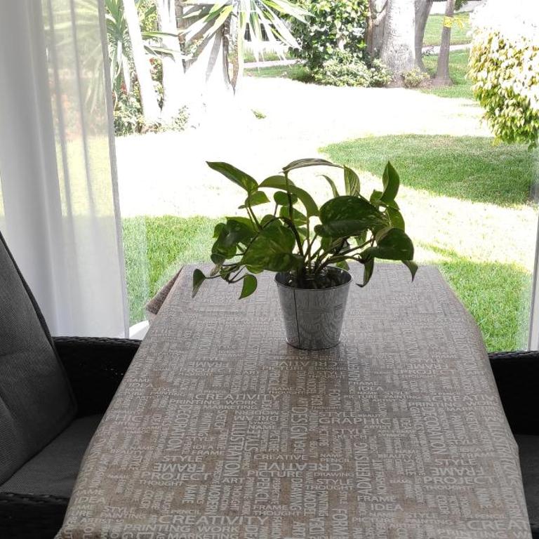 Aloha Paraíso - Bungalow Deluxe con vistas al jardín - 5