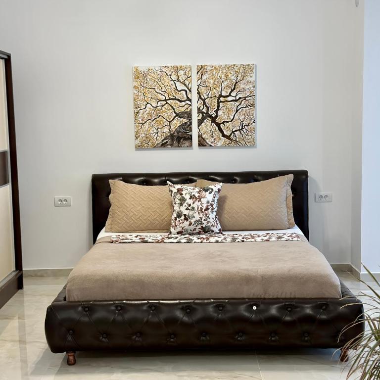 Marini Casa - Deluxe Queen Studio - 5