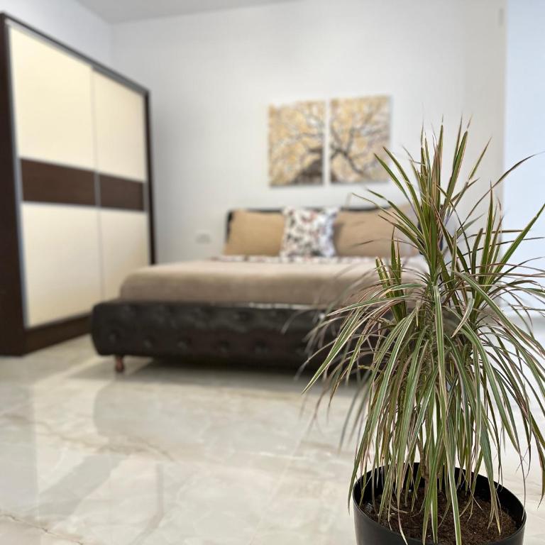 Marini Casa - Deluxe Queen Studio - 12