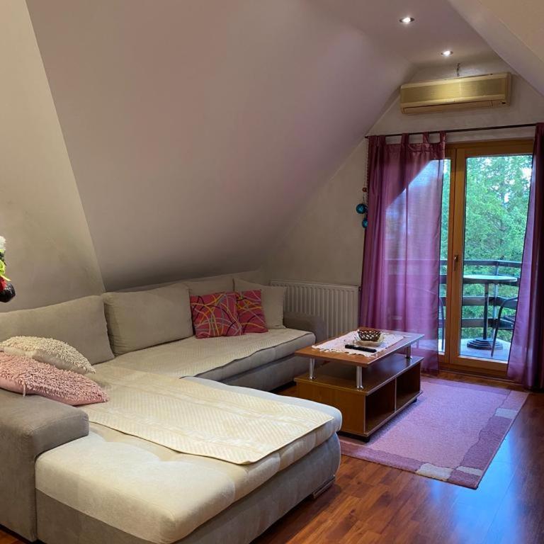 Apartments Vila Knez - Apartman sa 1 Spavaćom Sobom - 3