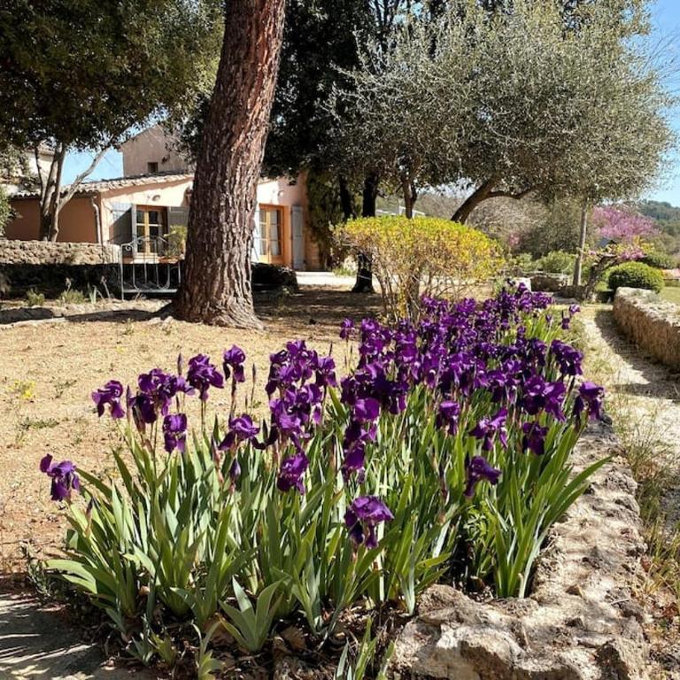 Luxurious bastidon with swimming pool and jacuzzi - Villa 2 Chambres - 23