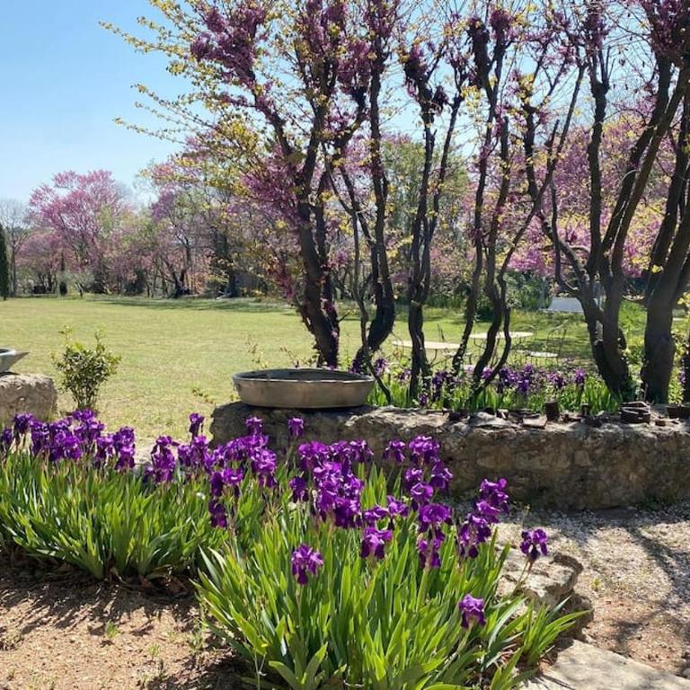 Luxurious bastidon with swimming pool and jacuzzi - Villa 2 Chambres - 25