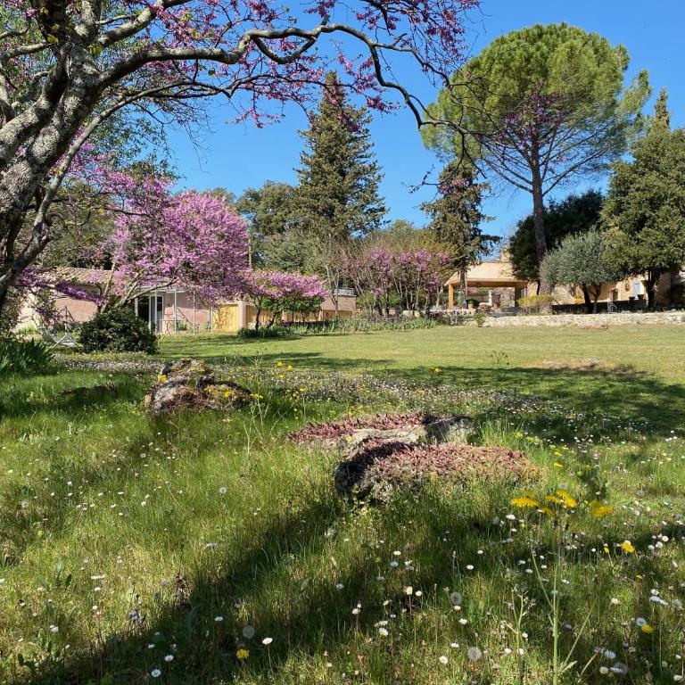 Luxurious bastidon with swimming pool and jacuzzi - Villa 2 Chambres - 28