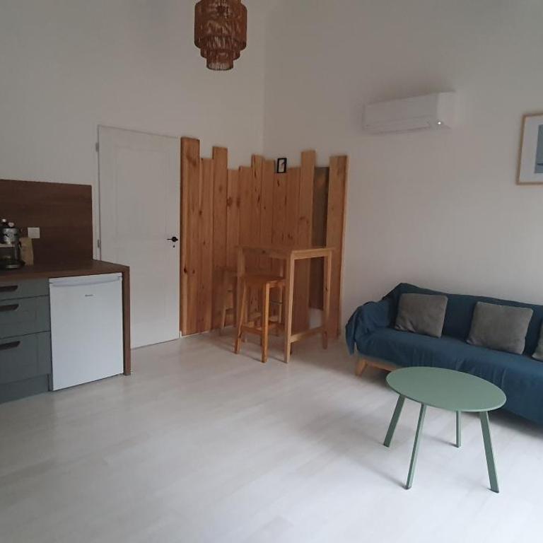 Le petit Paradis,, proche plage du Mauret - Bassin - One-Bedroom House - 10