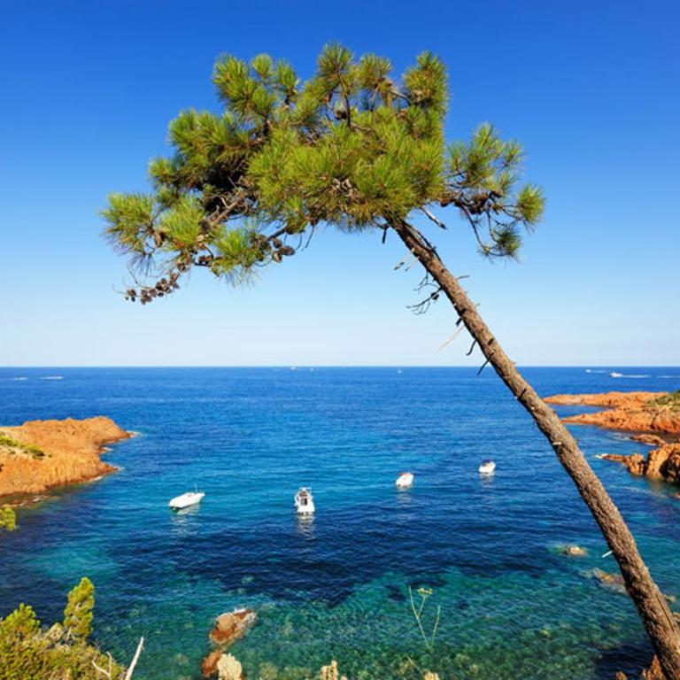 Location estival parfaite : Studio à 50 mètres de la plage, offrant une magnifique vue mer - Appartamento con 1 Camera da Letto - 4
