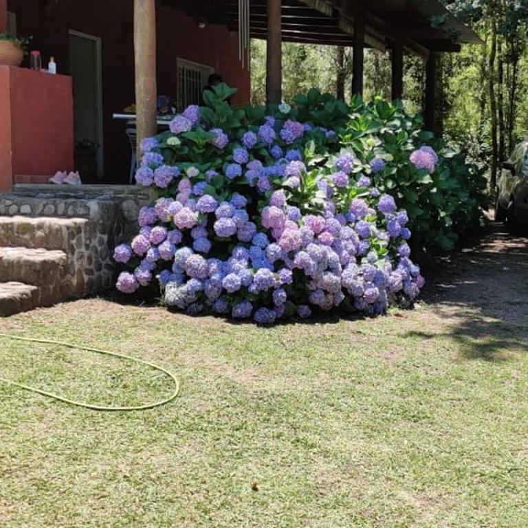 CASA EN VERTIENTES DE LA GRANJA - Casa con 1 dormitorio - 8