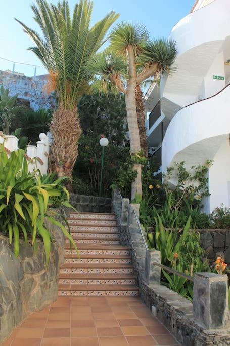 Galea 301 San Agustín - One-Bedroom Apartment - 18