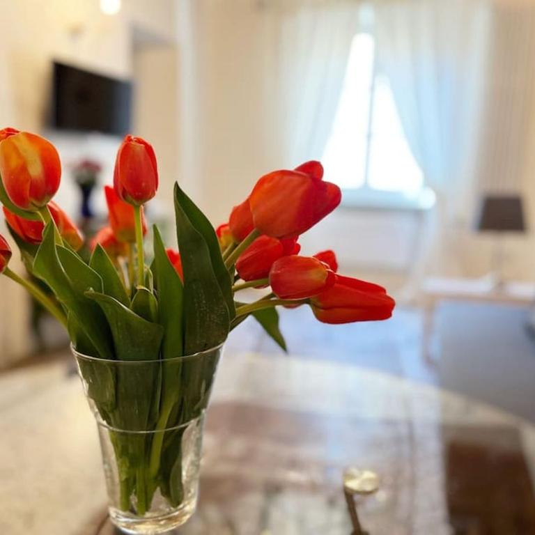 Il canto de' Cenci apartment - Appartamento con 1 Camera da Letto - 10