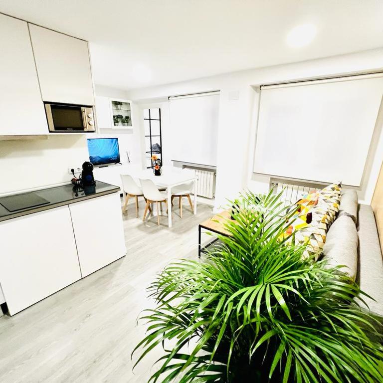 BEST FLAT NEAR REAL MADRID STADIUM - Two-Bedroom Apartment - 2