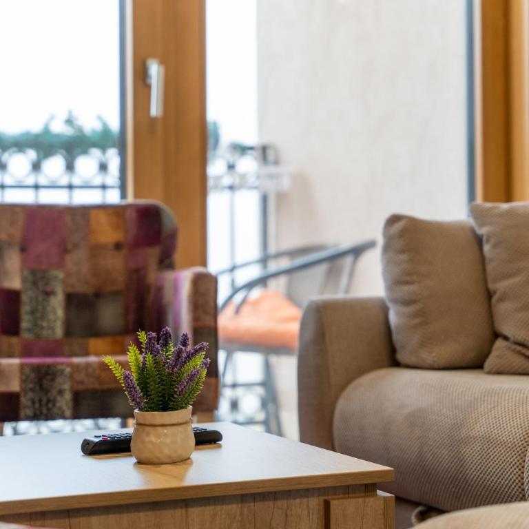 S35, vila Elsa 1 - Apartman sa 1 Spavaćom Sobom - 12