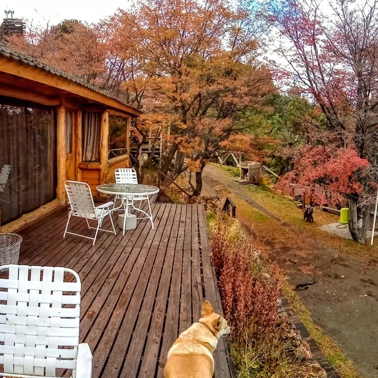 Cabañas & Lofts Las Terrazas - Holiday Home 2 (2 Adults) - 3