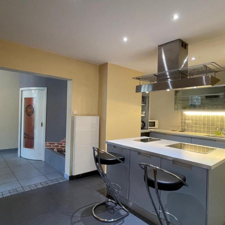 Aix-les-Bains T3 avec terrasse, parking et animaux permis - FR-1-555-91 - Apartment - 5