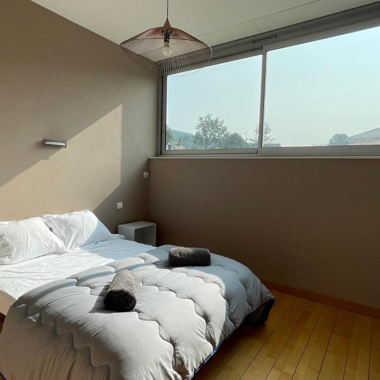Aix-les-Bains T3 avec terrasse, parking et animaux permis - FR-1-555-91 - Apartment - 11