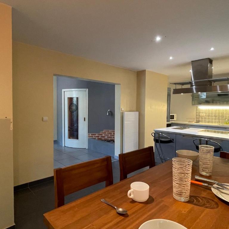 Aix-les-Bains T3 avec terrasse, parking et animaux permis - FR-1-555-91 - Apartment - 15