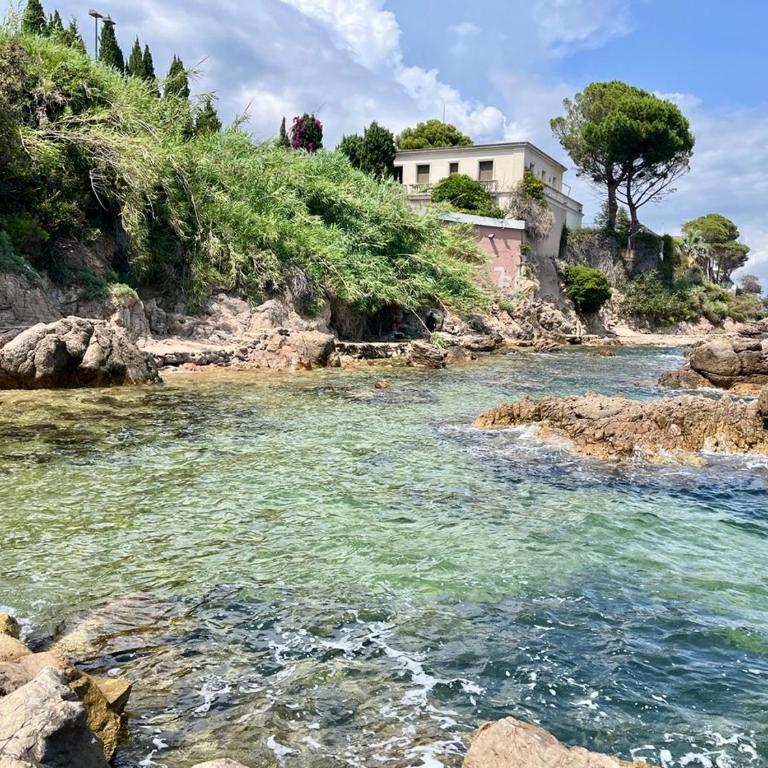 Super Cannes Sea Side - Appartement 1 Chambre - 25