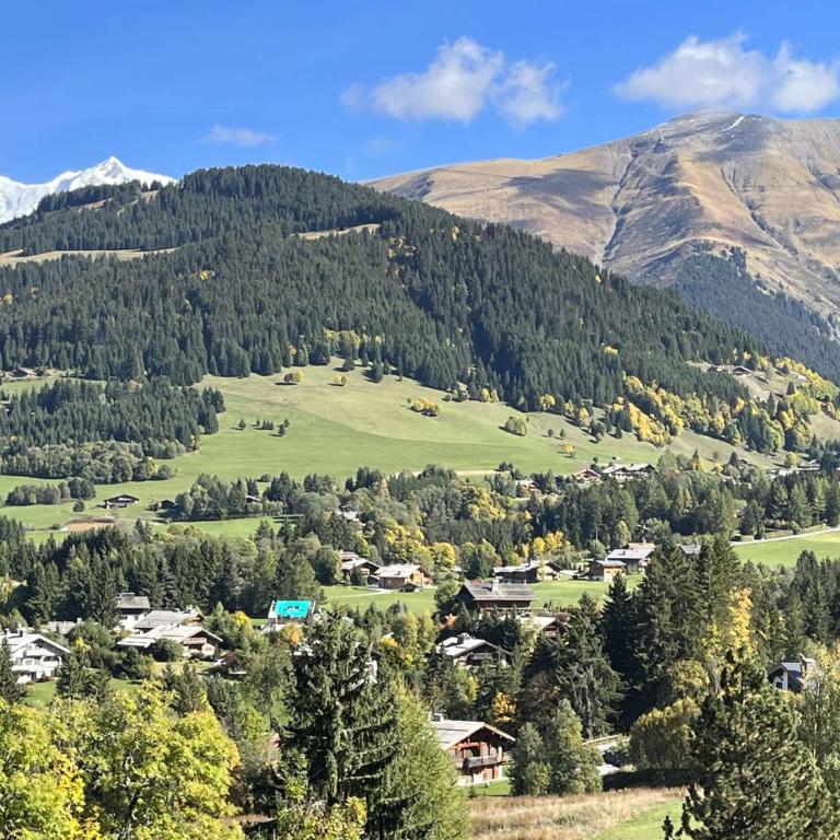 Appartement 3 pièces+cabine à Megève, près des pistes, terrasse, parking, 6 couchages - FR-1-597-1 - Apartment (5 Erwachsene) - 3