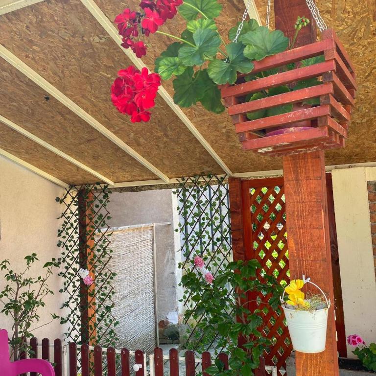 KOD BAKE - Apartman sa 1 Spavaćom Sobom - 26