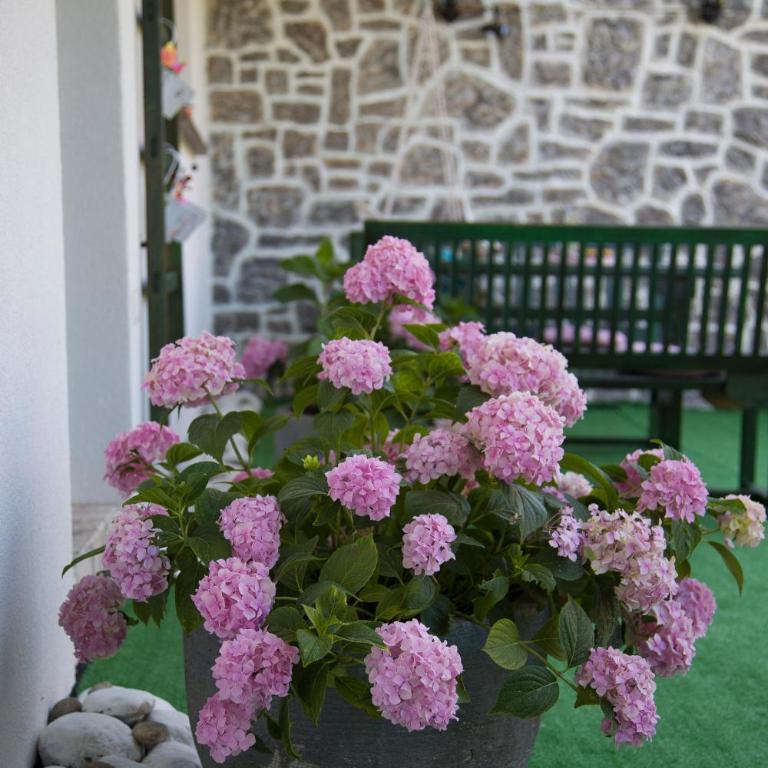 Apartman Flumen - One-Bedroom Apartment - 14