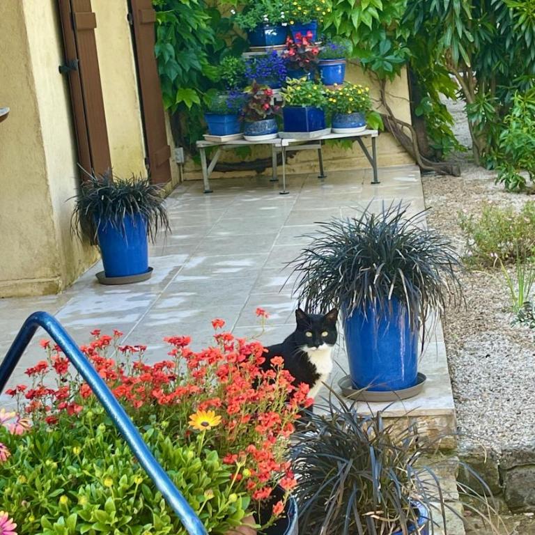 Azur Blue Villa; Rural Peace with private pool - Maison 2 Chambres - 18