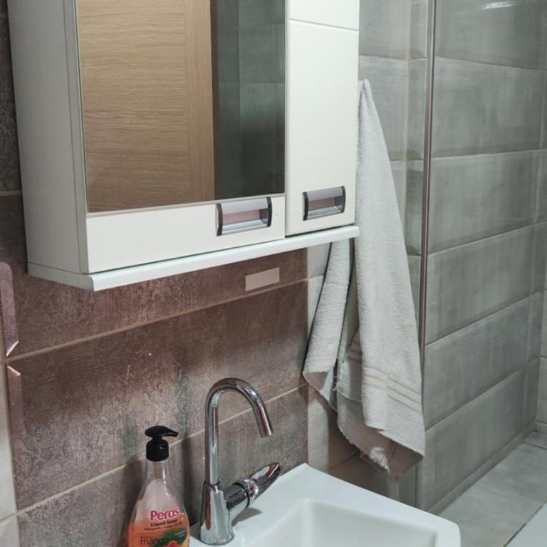 Stan na dan Nis - Apartman sa 2 Spavaće Sobe i Balkonom - 14