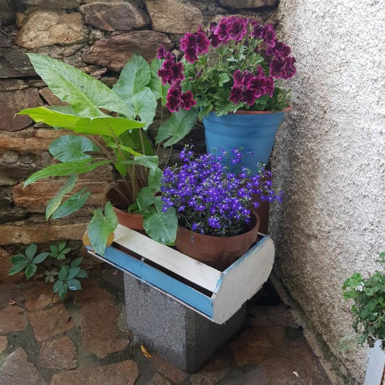 da Vale e Tea - Appartamento con 2 Camere da Letto - 5