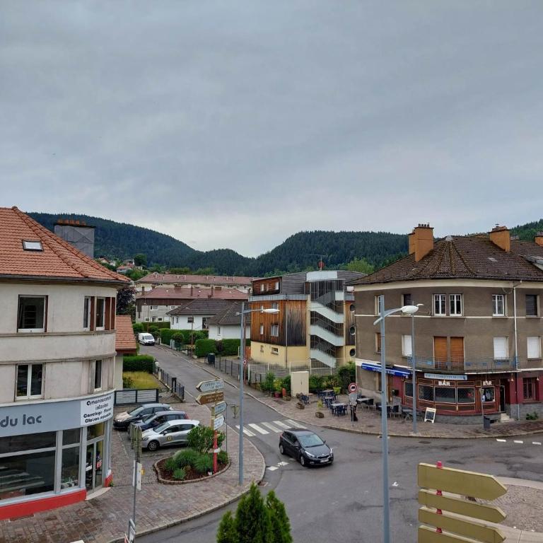 L'escale du centre du lac, joli appartement T2, proche lac - Appartement 1 Chambre - 3