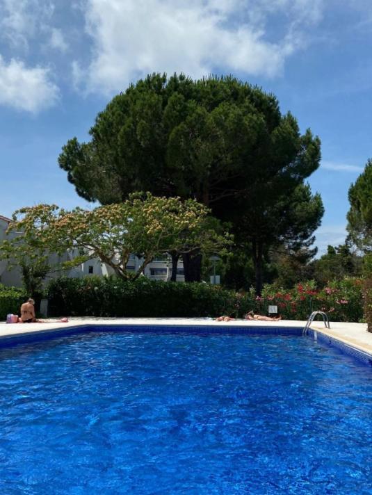 Charmant T2 avec grande terrasse et confort 3 étoiles - Apartment mit 1 Schlafzimmer - 18